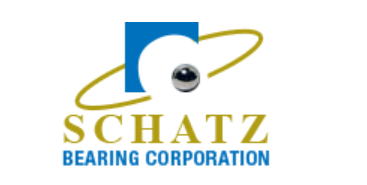 schatzbearing B500DD Series bearing