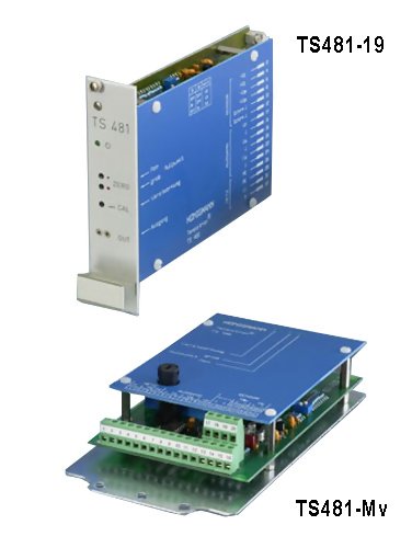 Honigmann TS481-M Strain Gauge Amplifier Card