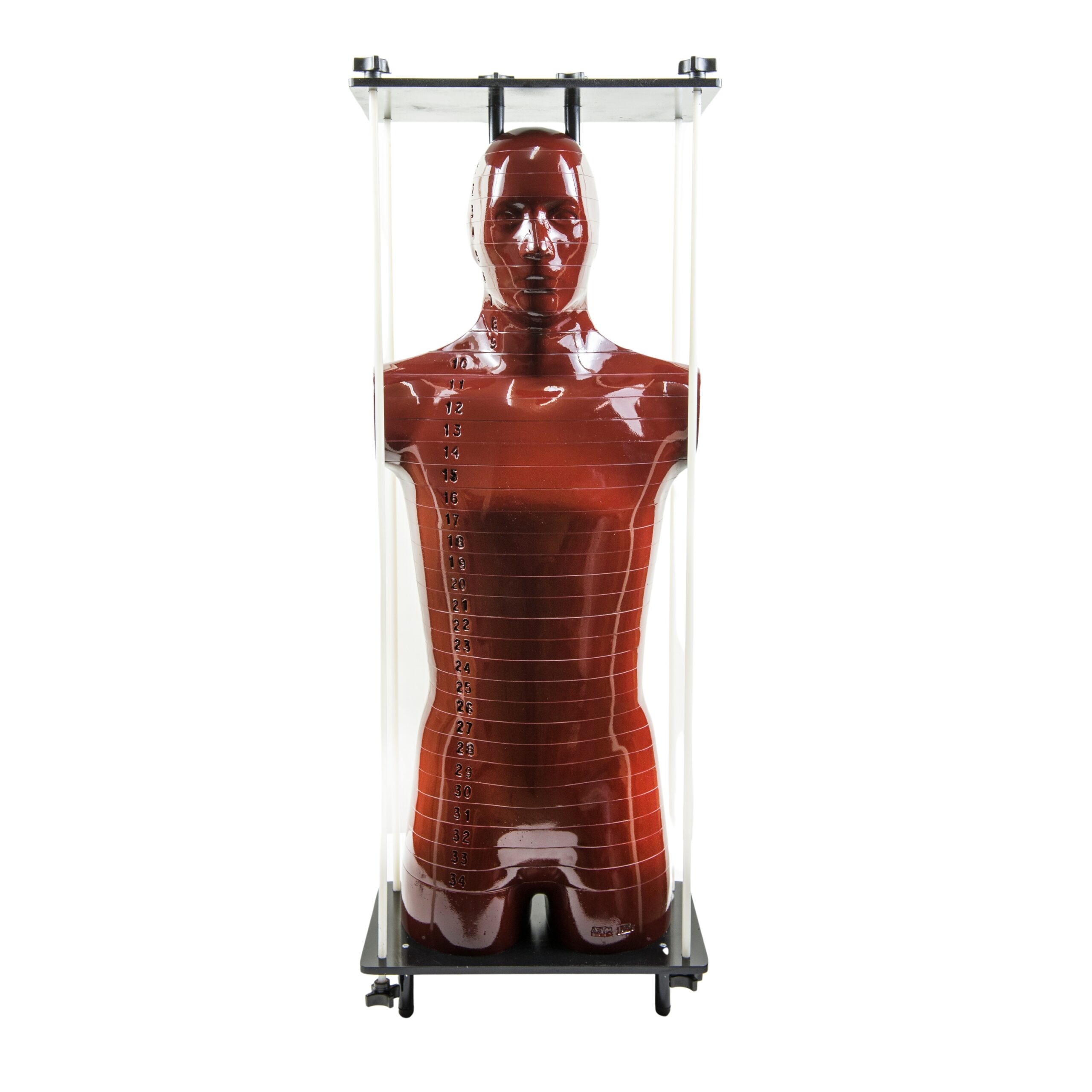 Radiology Support Devices Inc. ART Phantom phantom